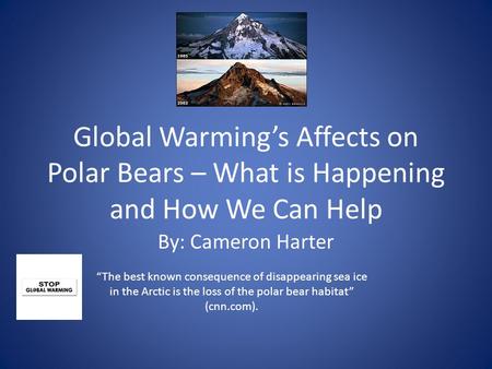 Global Warming’s Affects on Polar Bears – What is Happening and How We Can Help By: Cameron Harter “The best known consequence of disappearing sea ice.