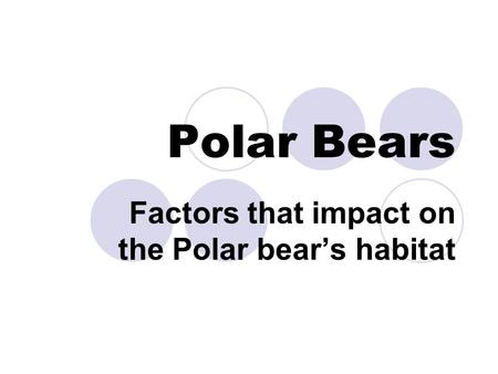 Polar Bears Factors that impact on the Polar bear’s habitat.