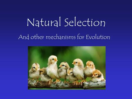 Natural Selection And other mechanisms for Evolution.