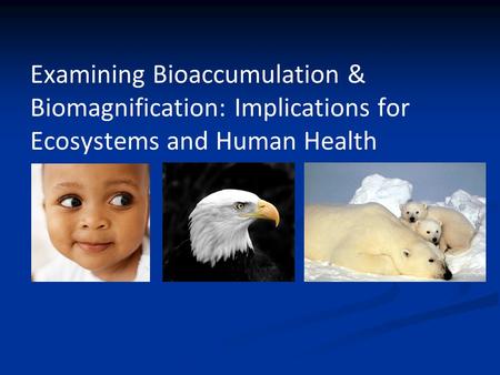 Examining Bioaccumulation & Biomagnification: Implications for Ecosystems and Human Health.