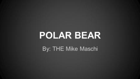 POLAR BEAR By: THE Mike Maschi. Classification ●Kingdom- Animalia ●Phylum- Chordata ●Class- Mammalia ●Order- Carnivora ●Family- Ursidae ●Genus- Ursus.