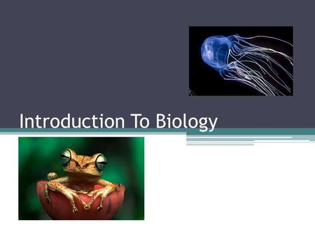 Introduction To Biology. What is Biology? Biology is the study of life It is not only life, but also the study of interactions that occur between organisms.