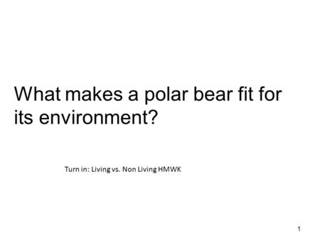 1 What makes a polar bear fit for its environment? Turn in: Living vs. Non Living HMWK.