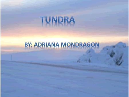 The Tundra Biome It’s the coldest of all biomes and us noted for its frost-molded landscapes, extremely low temperatures, little precipitation, poor nutrients,