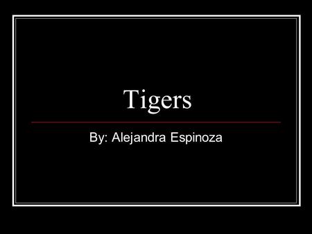 Tigers By: Alejandra Espinoza. Basic Info There are 5 different kinds of tiger which are still alive today, which are: Siberian, Indochinese, South Bengal,