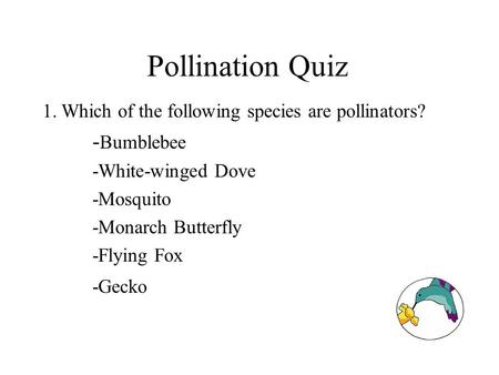 Pollination Quiz 1.Which of the following species are pollinators? - Bumblebee -White-winged Dove -Mosquito -Monarch Butterfly -Flying Fox -Gecko.