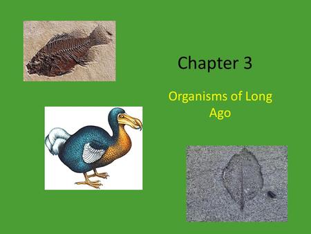 Chapter 3 Organisms of Long Ago.