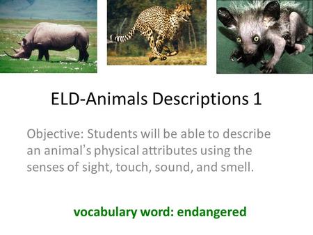 ELD-Animals Descriptions 1 Objective: Students will be able to describe an animal’s physical attributes using the senses of sight, touch, sound, and smell.