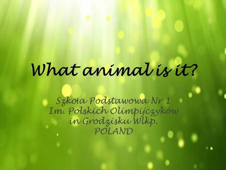 What animal is it? Szko ł a Podstawowa Nr 1 Im. Polskich Olimpijczyków in Grodzisku Wlkp. POLAND.