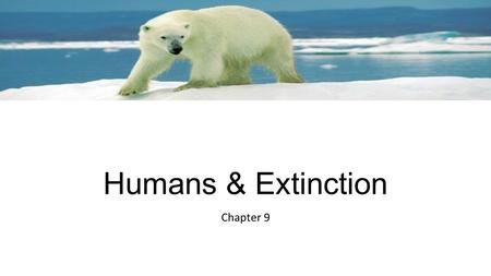 Humans & Extinction Chapter 9. Extinction -Natural -All species become extinct  Mass Extinction-extinction of many species in a relatively short period.