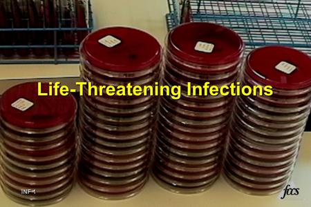 INF 1 ® Life-Threatening Infections INF 1 ®. INF 2 ® Objectives Recognize predisposing conditions for infection Identify clinical manifestations of infection.