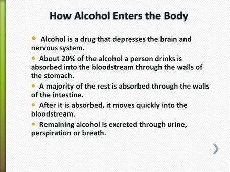 Alcohol is a drug that depresses the brain and nervous system. About 20% of the alcohol a person drinks is absorbed into the bloodstream through the walls.