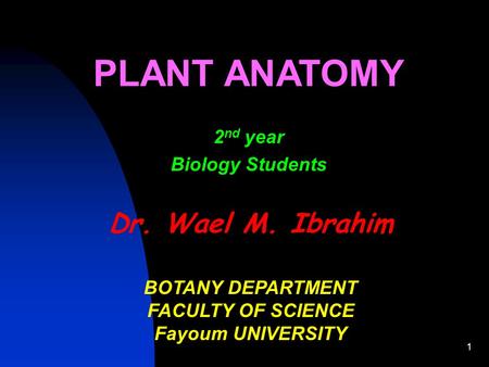 PLANT ANATOMY Dr. Wael M. Ibrahim 2nd year Biology Students