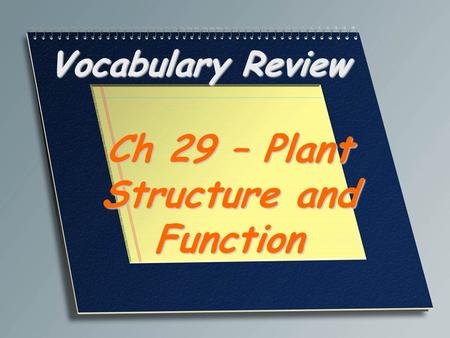 Ch 29 – Plant Structure and Function