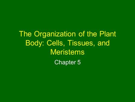 The Organization of the Plant Body: Cells, Tissues, and Meristems