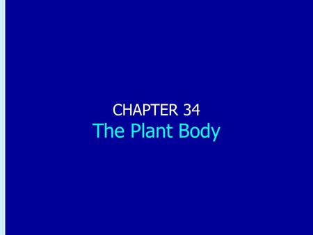 Chapter 34: The Plant Body CHAPTER 34 The Plant Body.