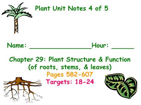 Plant Unit Notes 4 of 5 Name: 					Hour: