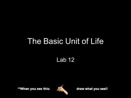 The Basic Unit of Life Lab 12 **When you see this: draw what you see!!