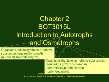 Chapter 2 BOT3015L Introduction to Autotrophs and Osmotrophs Presentation created by Danielle Sherdan All photos from Raven et al. Biology of Plants except.