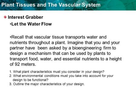 Plant Tissues and The Vascular System Interest Grabber Let the Water Flow Recall that vascular tissue transports water and nutrients throughout a plant.