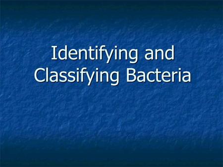 Identifying and Classifying Bacteria. What is a prokaryote? Cells that lack a true nucleus. Cells that lack a true nucleus. Cells that lack membrane-