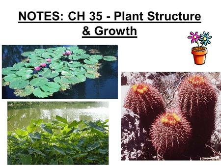 NOTES: CH 35 - Plant Structure & Growth. In their evolutionary journey, plants adapted to the problems of a terrestrial existence as they moved from water.