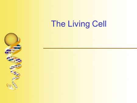 The Living Cell.  “Cell” –Named by Robert Hooke who used microscope to look at cork (1663) –Described by Anton van Leeuwenhoek who designed his own microscope.