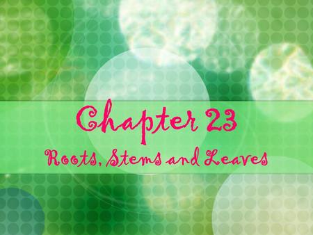 Chapter 23 Roots, Stems and Leaves.