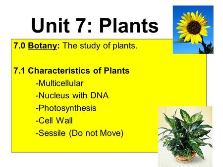 Unit 7: Plants 7.0 Botany: The study of plants. 7.1 Characteristics of Plants -Multicellular -Nucleus with DNA -Photosynthesis -Cell Wall -Sessile (Do.