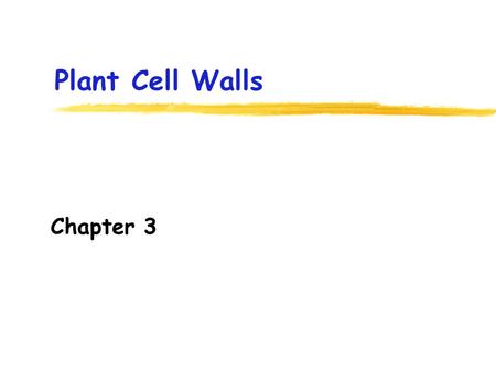 Plant Cell Walls Chapter 3. Where is the cell wall of plant cells located? A.Inside the plasma membrane B.Outside the plasma membrane C.Between the plasma.