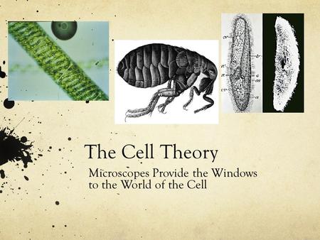 The Cell Theory Microscopes Provide the Windows to the World of the Cell.