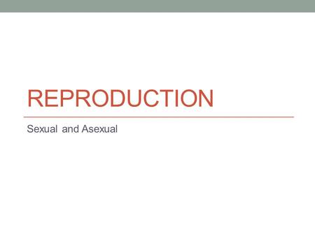 REPRODUCTION Sexual and Asexual. Reproduction Reproduction – the process of living things producing the same type of living thing. Examples – horses produce.