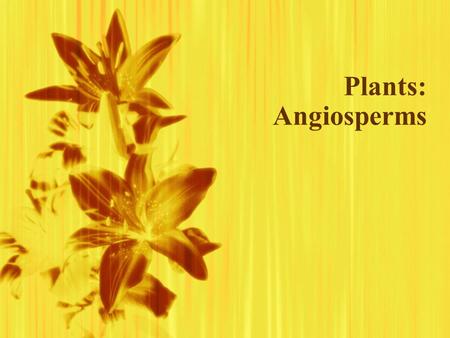 Plants: Angiosperms.