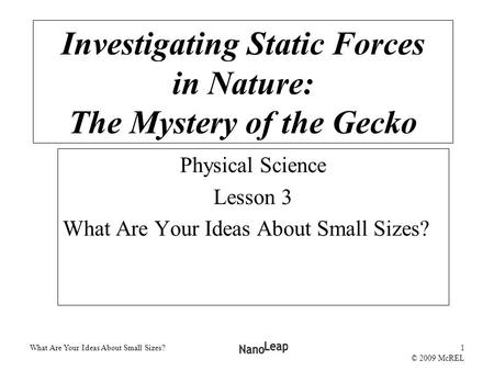 What Are Your Ideas About Small Sizes?1 © 2009 McREL Physical Science Lesson 3 What Are Your Ideas About Small Sizes? Investigating Static Forces in Nature: