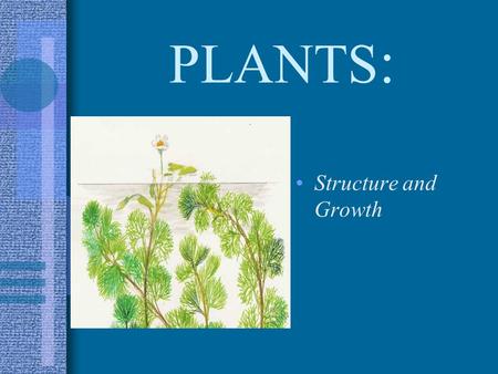 PLANTS: Structure and Growth.