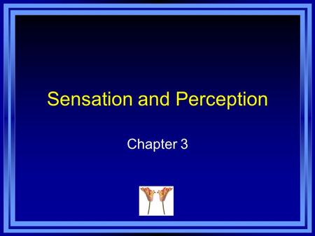 Sensation and Perception Chapter 3. Sensation Sensation - the activation of receptors in the various sense organs. Sensory receptors - specialized forms.