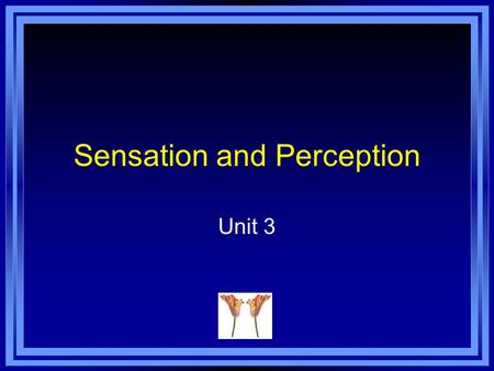 Sensation and Perception Unit 3. Copyright © 2011 Pearson Education, Inc. All rights reserved. Sensation Sensation - the activation of receptors in the.