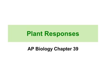 Plant Responses AP Biology Chapter 39.