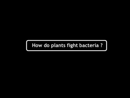 How do plants fight bacteria ?. Bacterium Plant cell When bacteria get in contact with plant cells…