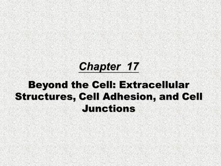 Chapter 17 Beyond the Cell: Extracellular Structures, Cell Adhesion, and Cell Junctions.