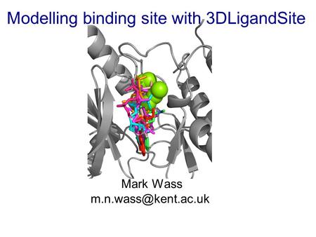 Modelling binding site with 3DLigandSite Mark Wass