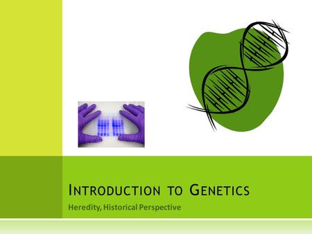 Heredity, Historical Perspective I NTRODUCTION TO G ENETICS.