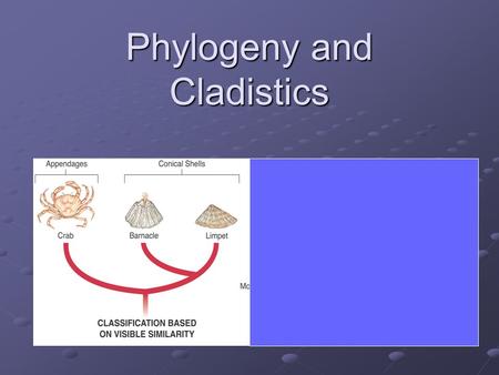 Phylogeny and Cladistics