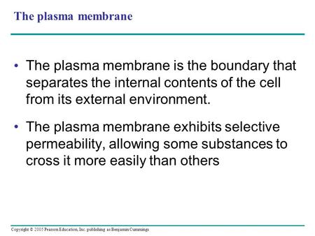 Copyright © 2005 Pearson Education, Inc. publishing as Benjamin Cummings The plasma membrane The plasma membrane is the boundary that separates the internal.