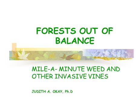 FORESTS OUT OF BALANCE MILE-A- MINUTE WEED AND OTHER INVASIVE VINES JUDITH A. OKAY, Ph.D.