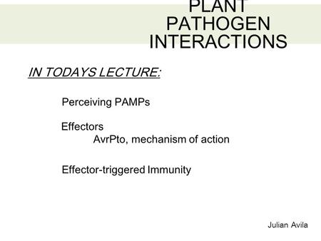 Julian Avila PLANT PATHOGEN INTERACTIONS IN TODAYS LECTURE: Effector-triggered Immunity Perceiving PAMPs Effectors AvrPto, mechanism of action.