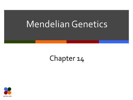 Mendelian Genetics Chapter 14. Slide 2 of 28 Mendel’s Big Ideas  The Law of Segregation  The 2 alleles of a gene separate (segregate) during gamete.