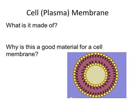Cell (Plasma) Membrane What is it made of? Why is this a good material for a cell membrane?
