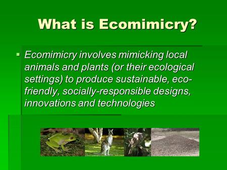 What is Ecomimicry?  Ecomimicry involves mimicking local animals and plants (or their ecological settings) to produce sustainable, eco- friendly, socially-responsible.