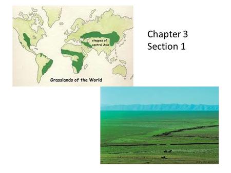 Chapter 3 Section 1. Why would the Arabian Peninsula be well suited for world trade?